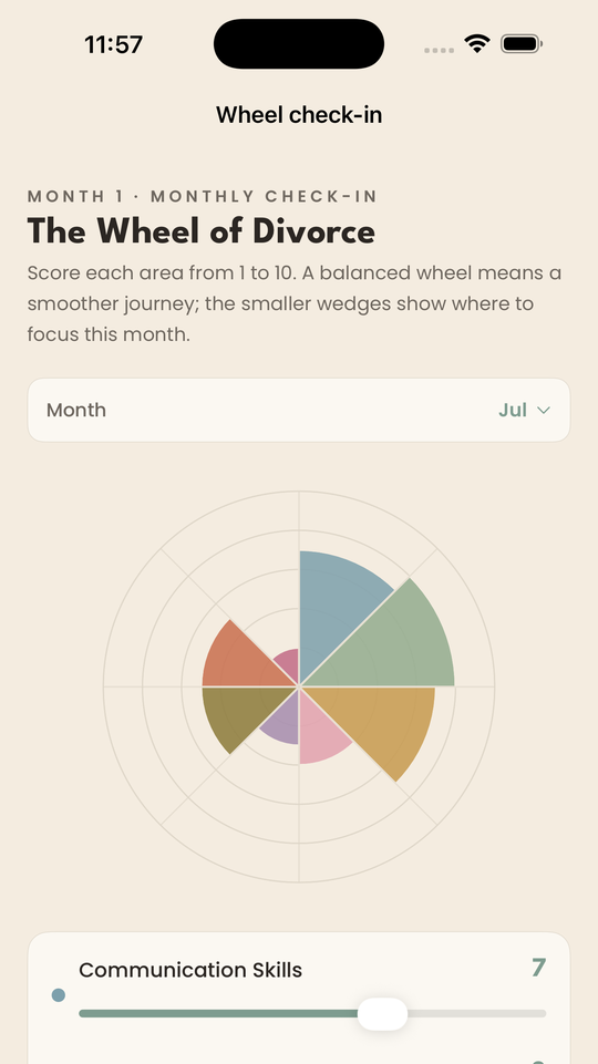 The Wheel of Divorce monthly check-in